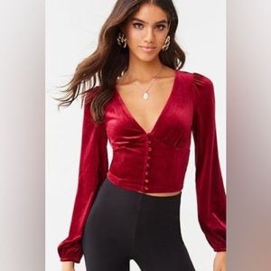 Gorgeous Velvet Crop Top